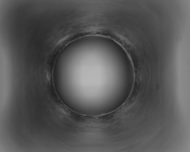 X0000113151206200909110947