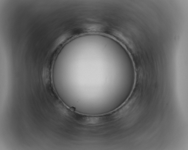 X0000113151211200909110947