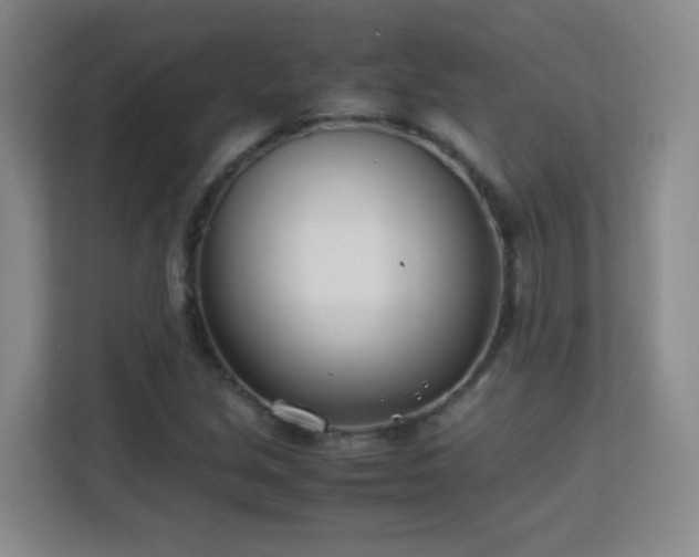 X0000113151213200909110947