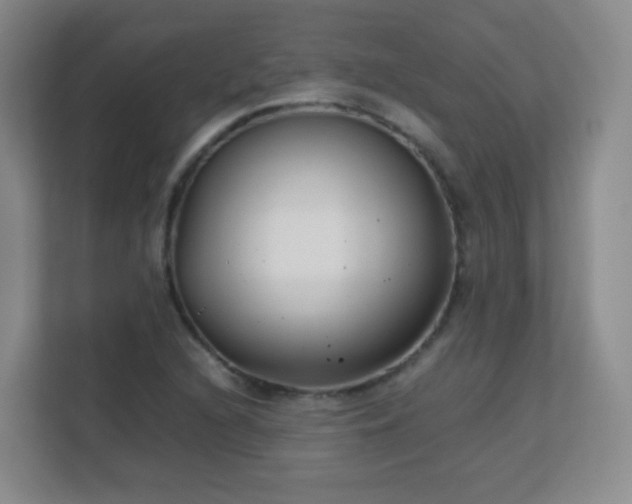 X0000113151216200909110947