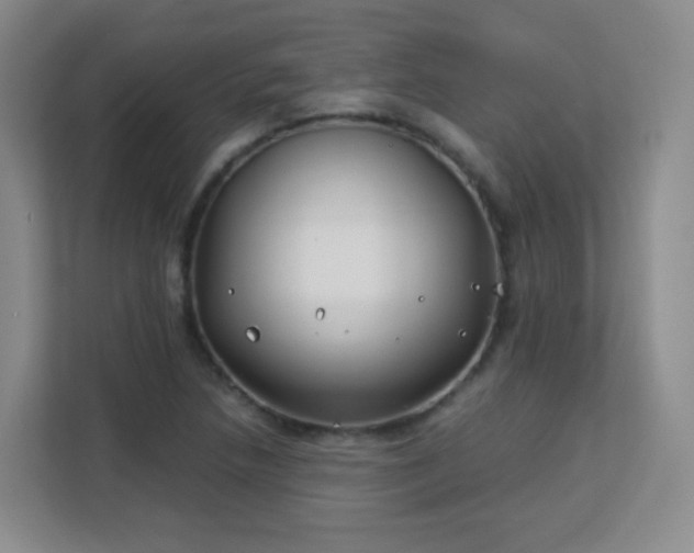 X0000113151218200909110947