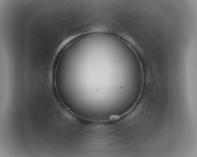 X0000113151222200909110947