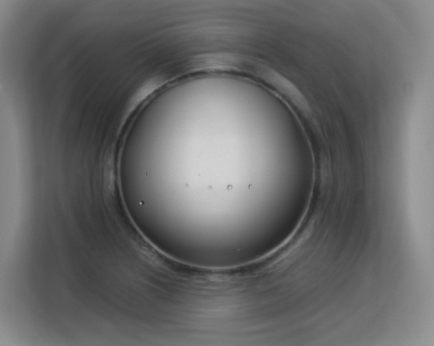 X0000113151226200909110947