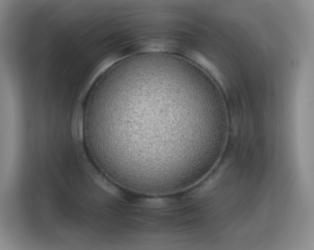 X0000113151227200909110947