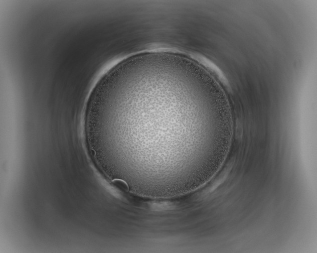 X0000113151231200909110947