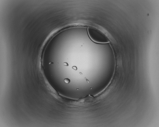 X0000113151232200909110947