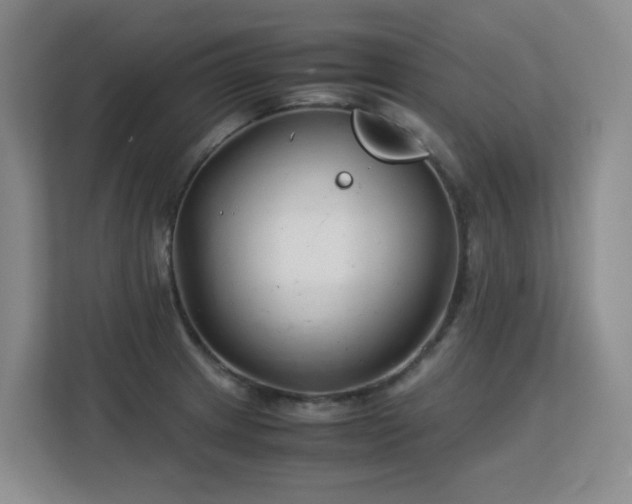 X0000113151233200909110947