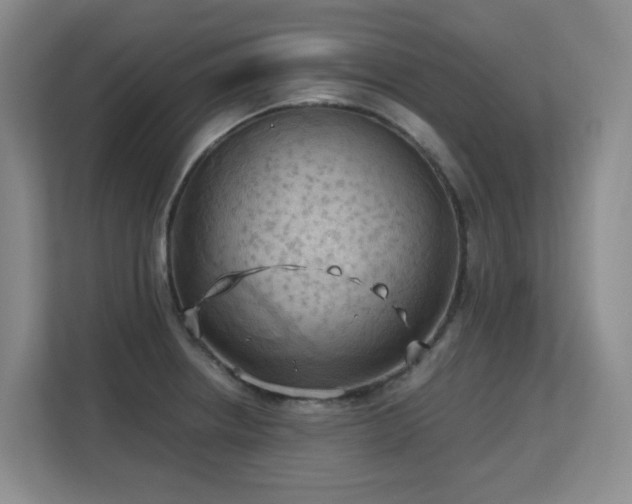 X0000113151234200909110947