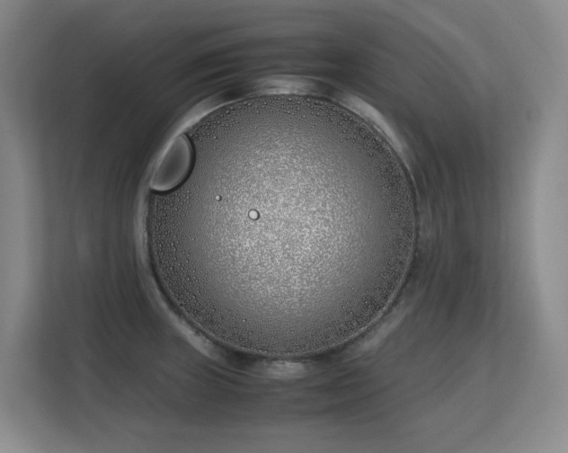 X0000113151235200909110947