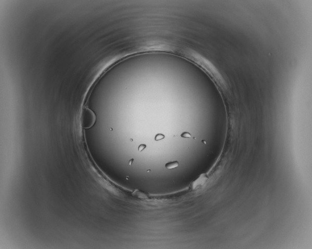 X0000113151236200909110947