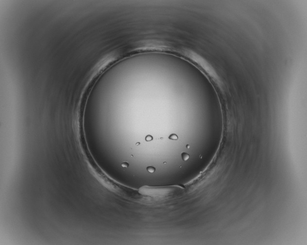 X0000113151237200909110947