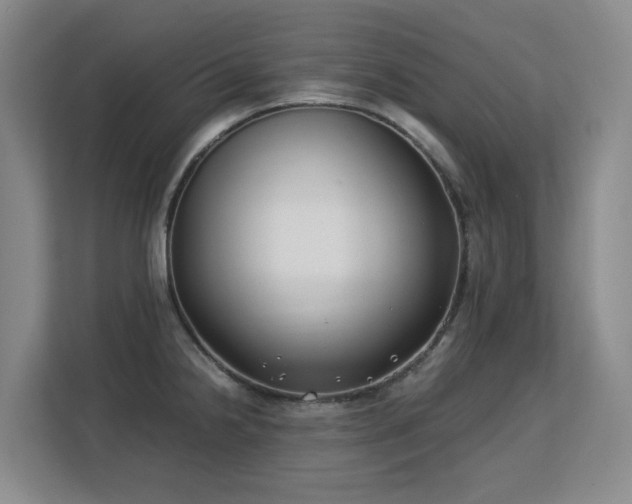 X0000113151238200909110947