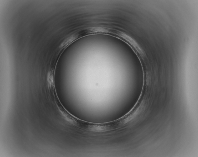 X0000113151241200909110948