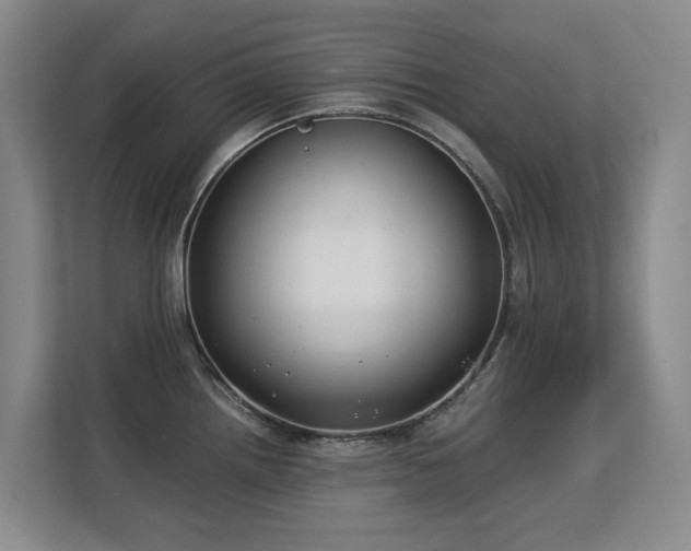 X0000113151242200909110948