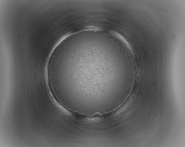 X0000113151243200909110948