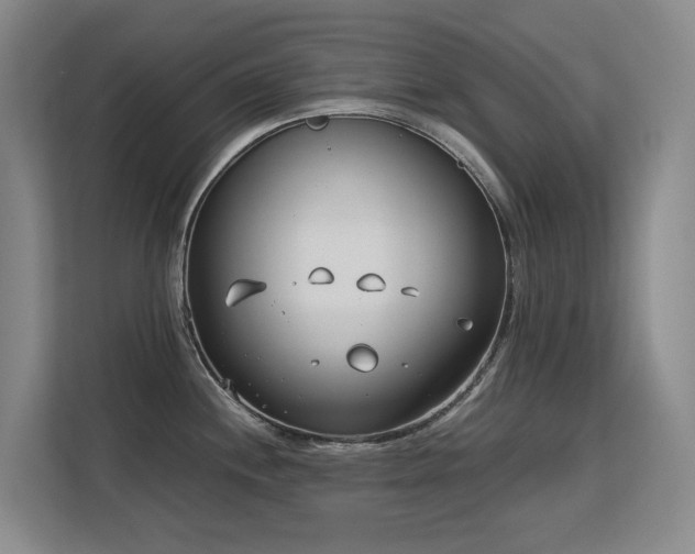 X0000113151244200909110948