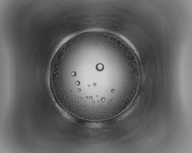 X0000113151245200909110948