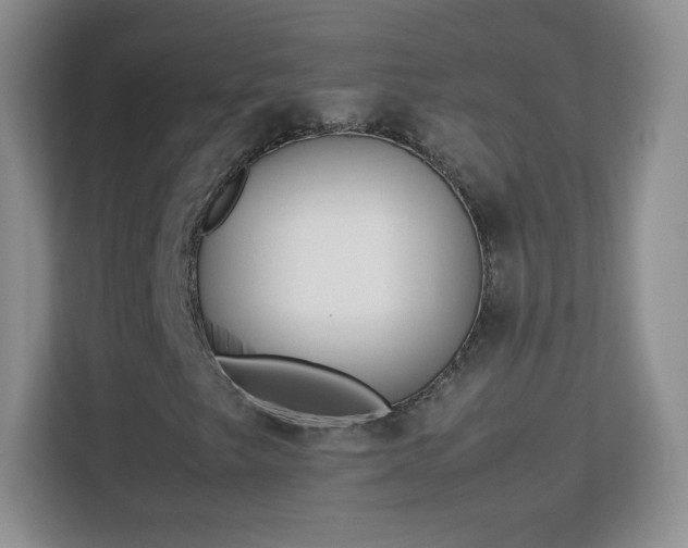 X0000113151249200909110947