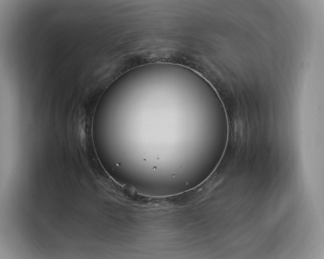 X0000113151250200909110947