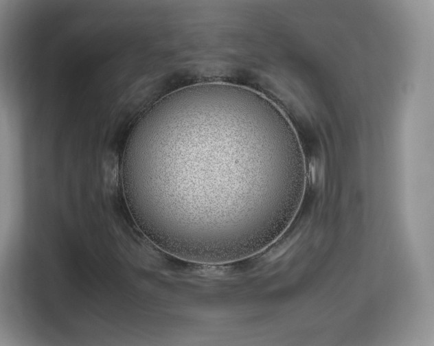 X0000113151251200909110947