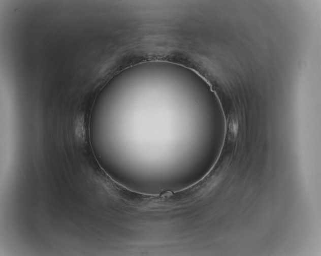 X0000113151252200909110947