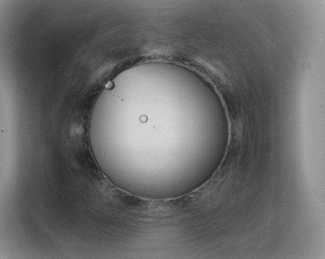 X0000113151254200909110947