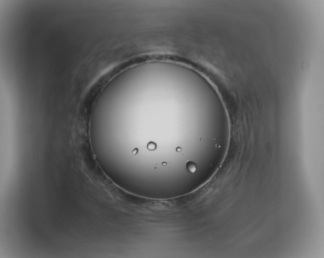 X0000113151255200909110947