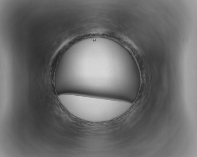 X0000113151256200909110947