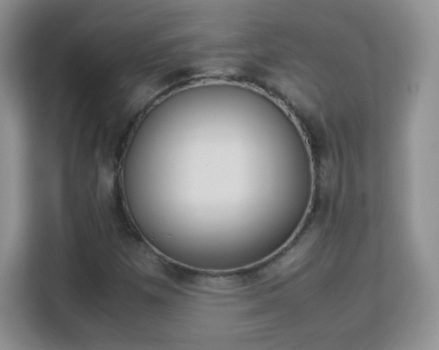 X0000113151257200909110947