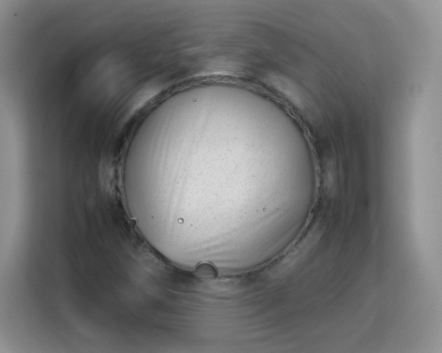 X0000113151258200909110947