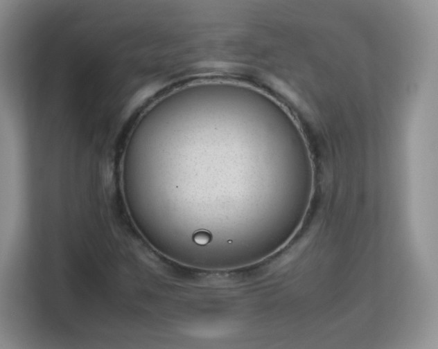 X0000113151259200909110947