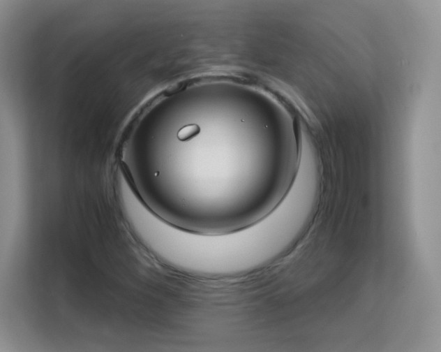 X0000113151260200909110947