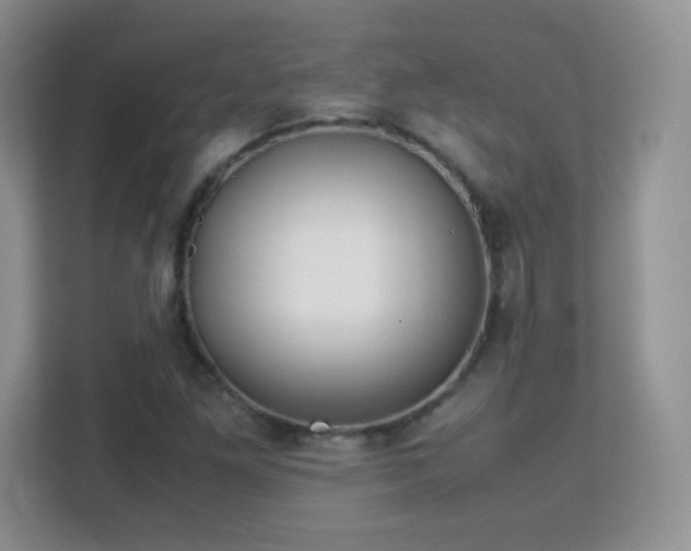 X0000113151261200909110947