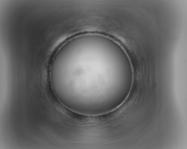 X0000113151263200909110947