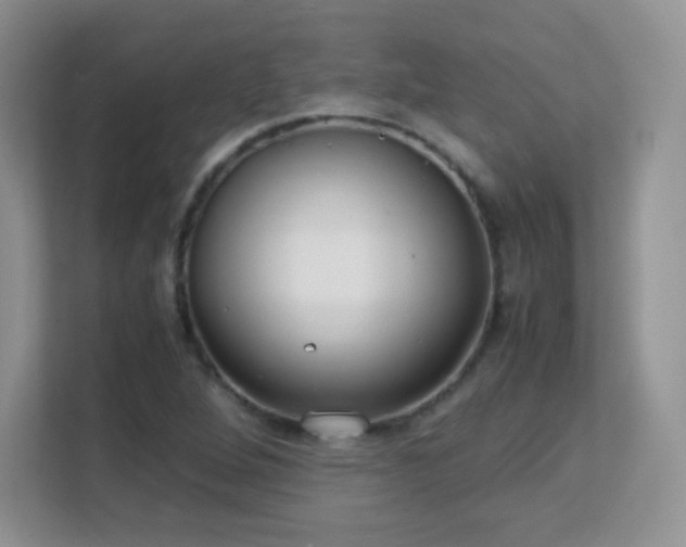 X0000113151264200909110947