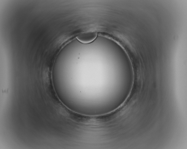 X0000113151265200909110947