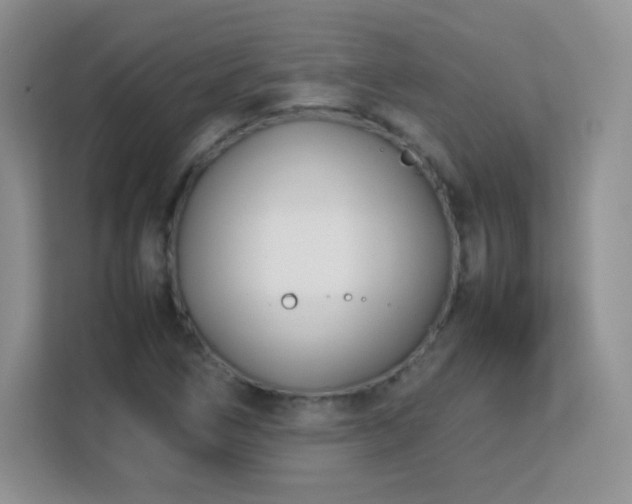 X0000113151266200909110947