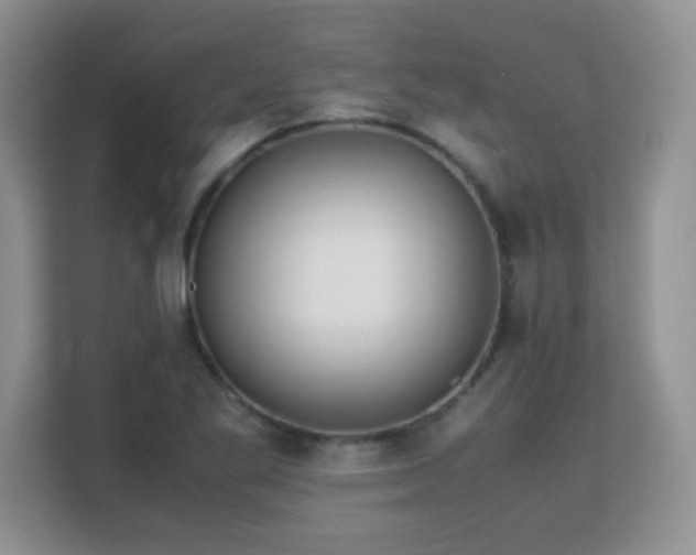 X0000113151269200909110947