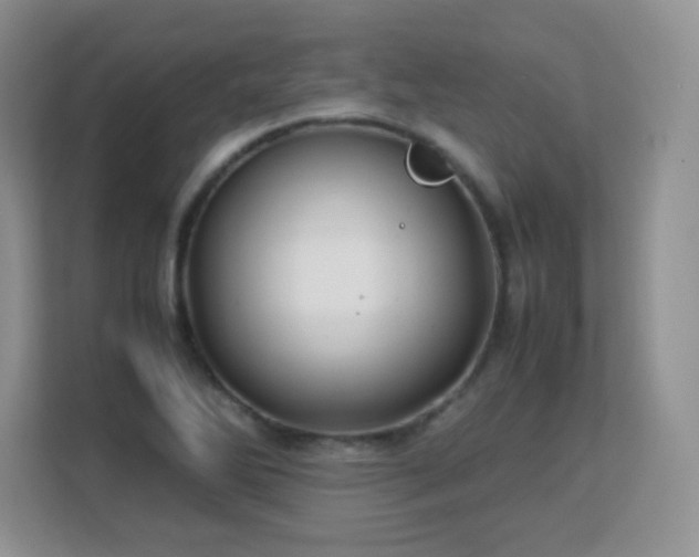 X0000113151270200909110947