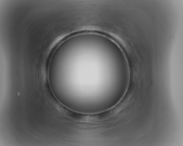 X0000113151271200909110947