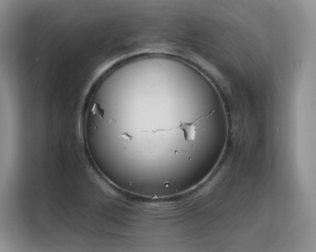 X0000113151272200909110947