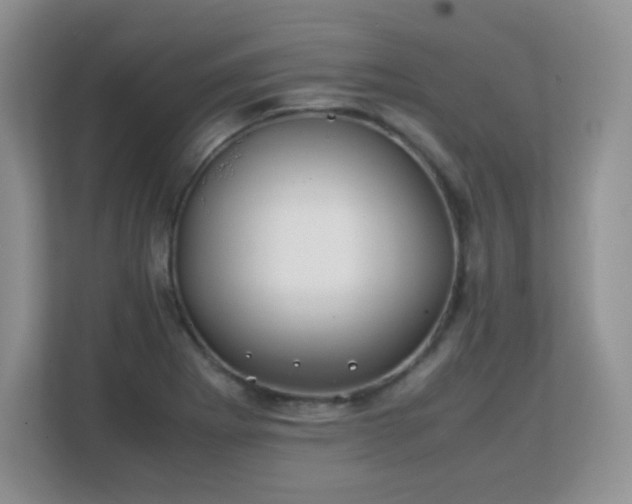 X0000113151273200909110947