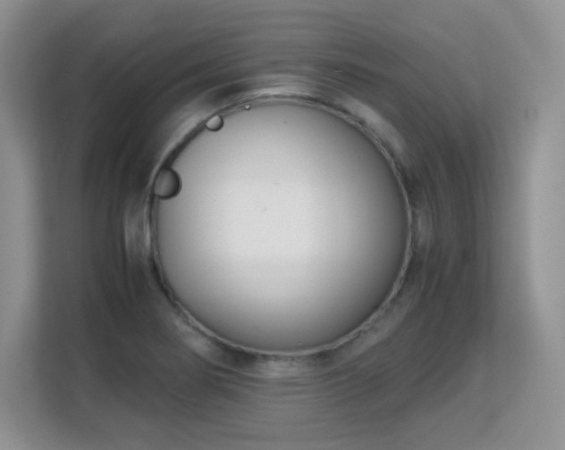 X0000113151274200909110947