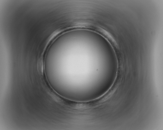 X0000113151275200909110947