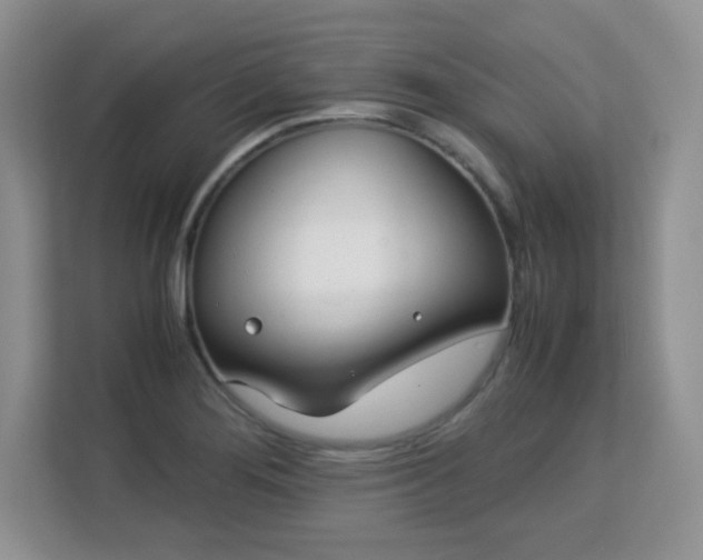 X0000113151276200909110947