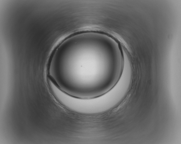 X0000113151277200909110947