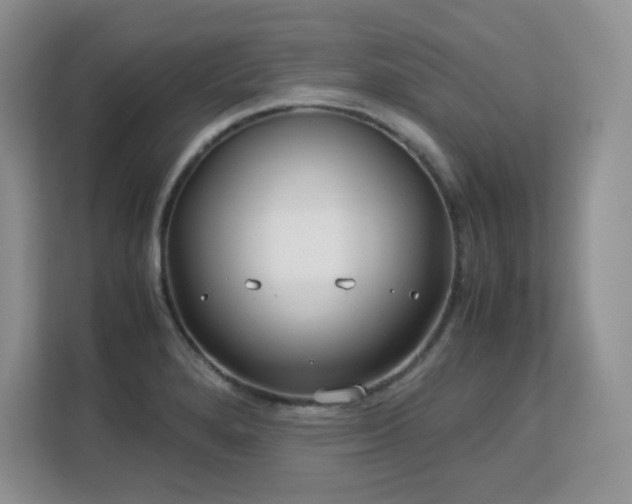 X0000113151280200909110947