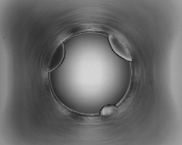 X0000113151281200909110947