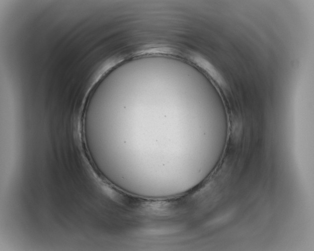 X0000113151282200909110947