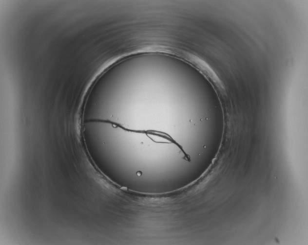 X0000113151284200909110947